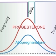 School of Medicine research contributed to first pill approved for postpartum depression
